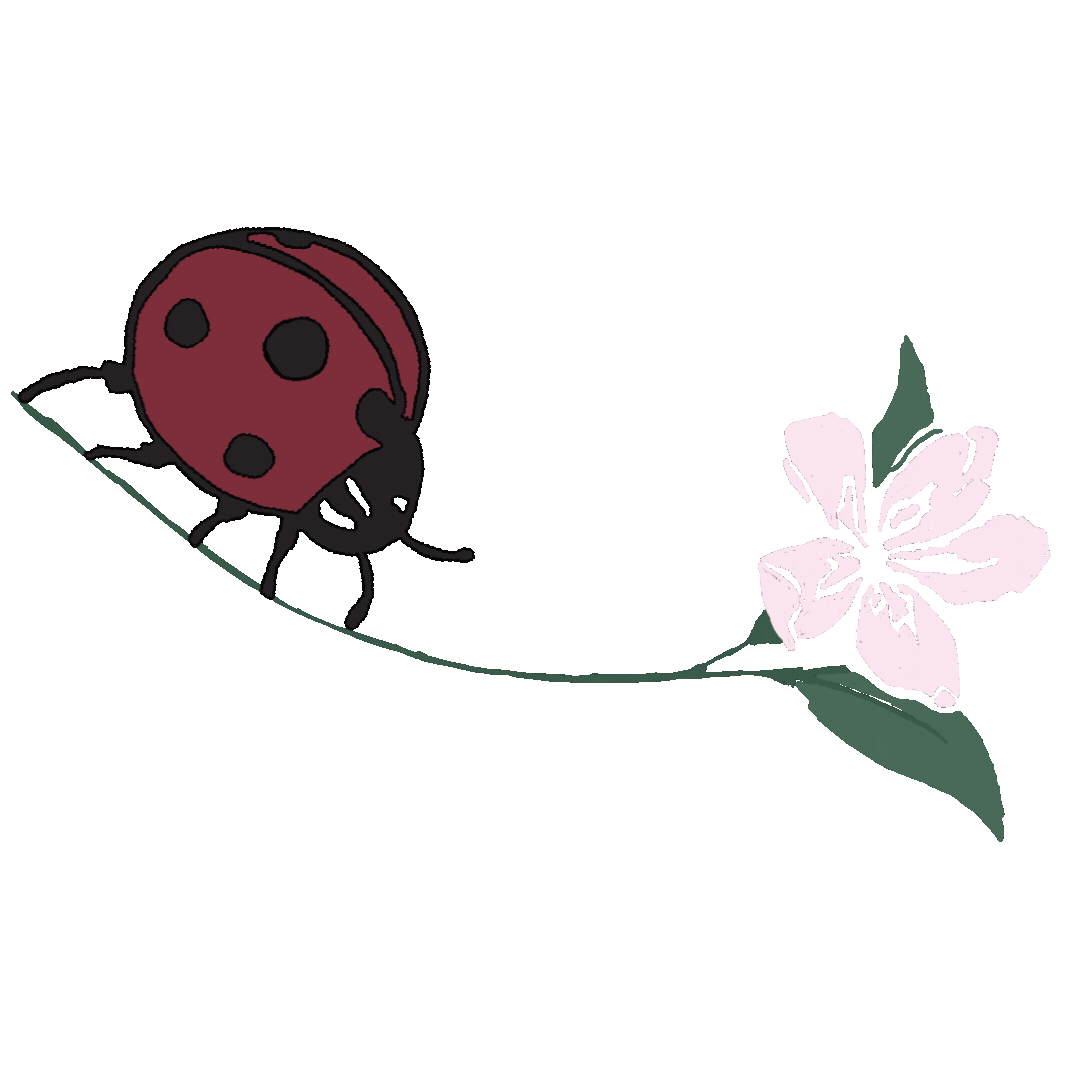Ladybug logo