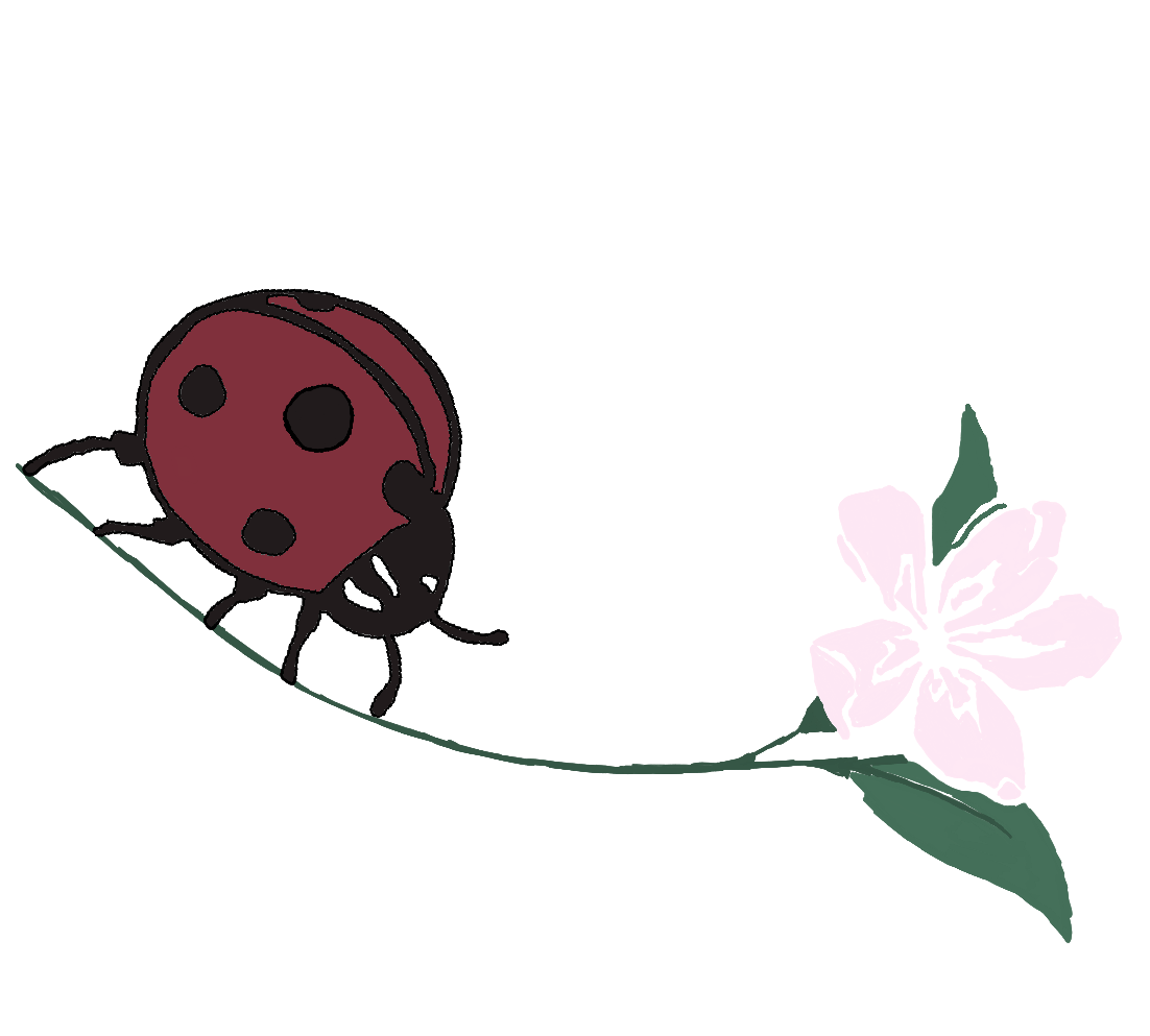 Ladybug logo